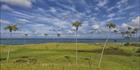 Lord Howe Island - NSW SQ (PBH4 00 11777)